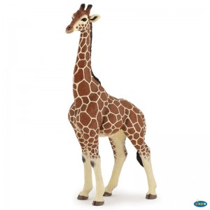 50149 Girafe Male