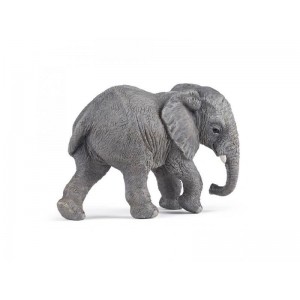 50169 Jeune Elephant d'Afrique