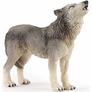 53012 louve grise