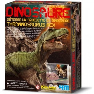 Kit de Fouille T Rex Deterre ton Dinosaure