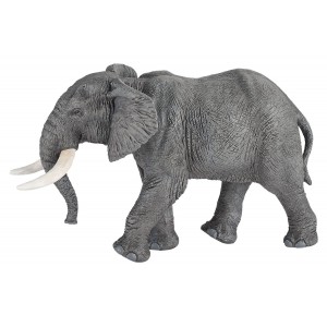 50192 Elephant d'Afrique