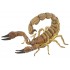 50209 Scorpion