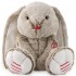 Lapin praline 19 cm - collection les amis