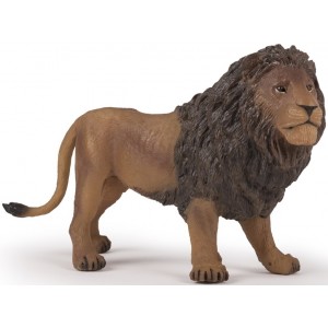 50191 Grand Lion