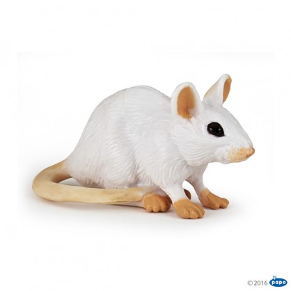 50222 Souris Blanche