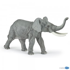 50215 Elephant d'Afrique