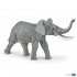 50215 Elephant d'Afrique