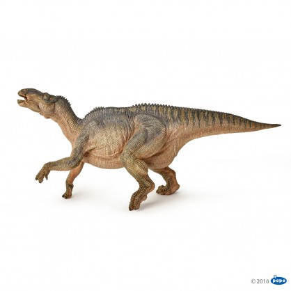 55071 Iguanodon Dinosaure