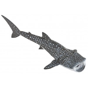 56039 Requin Baleine