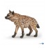 50102 hyene
