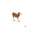 51151 vache simmental couchee