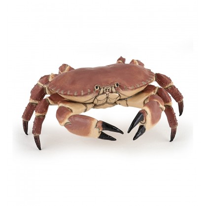 56047 Crabe