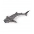 56046 Jeune Requin Baleine