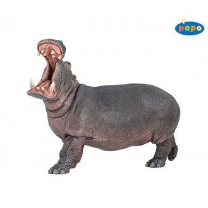 50051 hippopotame