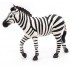 50122 zebre