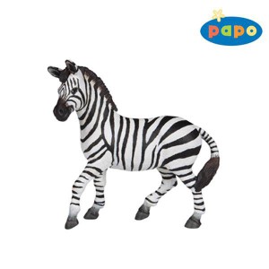 50122 Zebre