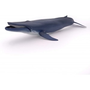 56037 Baleine Bleue