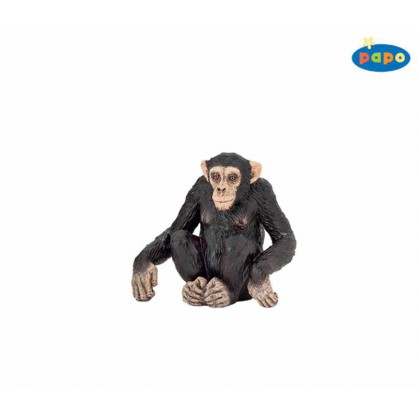 50106 chimpanze