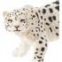 50160 Leopard des Neiges