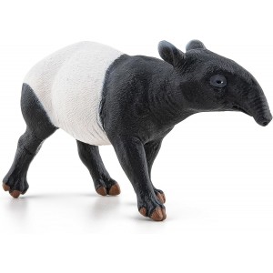 50112 Tapir