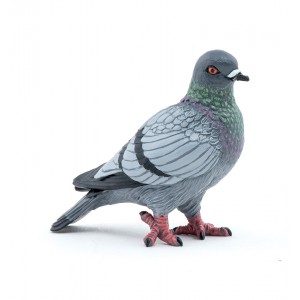 50295 Pigeon