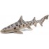 56056 Requin Leopard