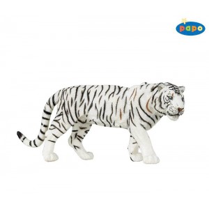 50045 Tigre Blanc