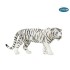 50045 tigre blanc