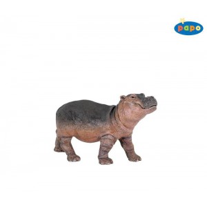 50052 bebe hippopotame