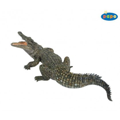 50055 Crocodile du Nil