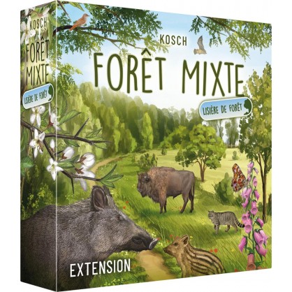 Foret Mixte Lisiere de Foret