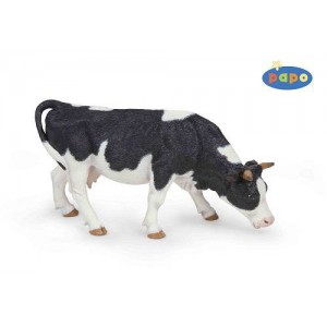 51150 vache noire & blanche broutant