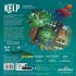 Kelp