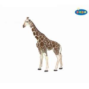 50096 Girafe