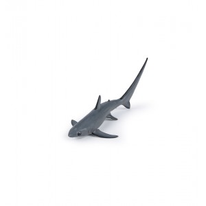 56063 Requin Renard