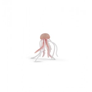 56018 Meduse