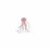 56018 Meduse