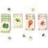 13 Feuilles