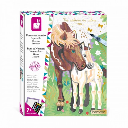 Peinture au Numero Aquarelle Chevaux