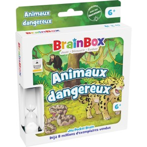 Brainbox voyage en france