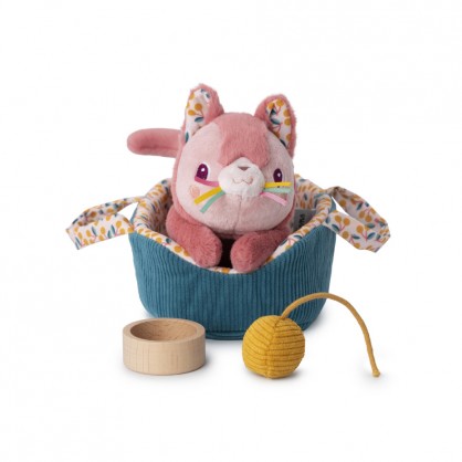 Jeanne le chat et son panier