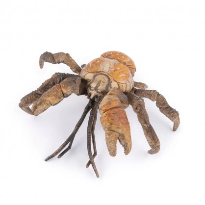 56020 Crabe de Cocotier