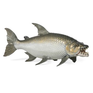 56065 Poisson Tigre Goliath