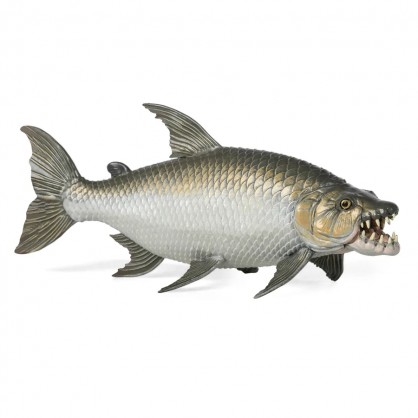 56065 Poisson Tigre Goliath