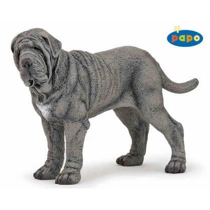 54014 chien gris - matin de naples