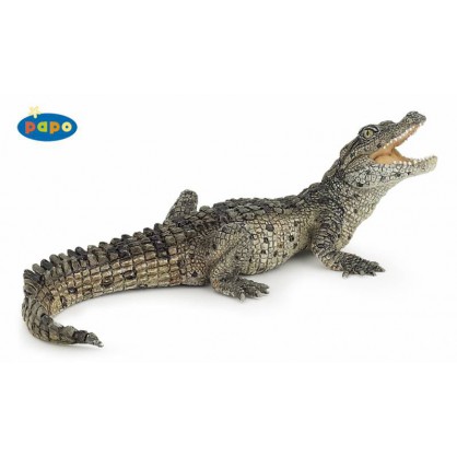 50137 Bebe Crocodile