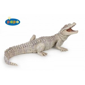 50141 bebe crocodile blanc