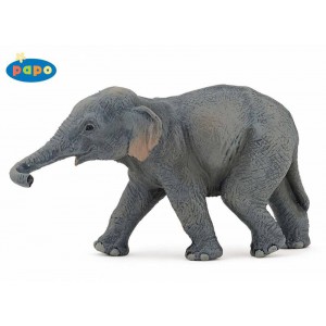 50132 elephanteau d'asie