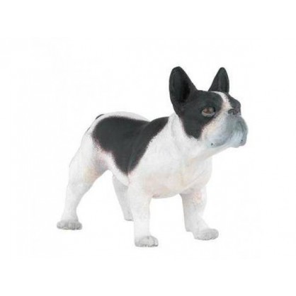 54006 Bouledogue Francais Chien Noir Et Blanc