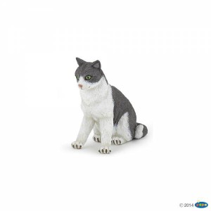 54033 Chatte Assise